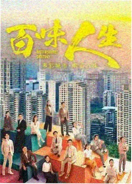 新视觉6080手机版视频剧集雾港回声封面